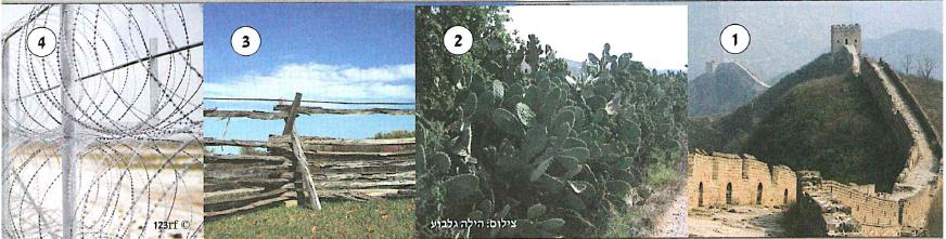 (בספר תמונות - היעזרו במורה):